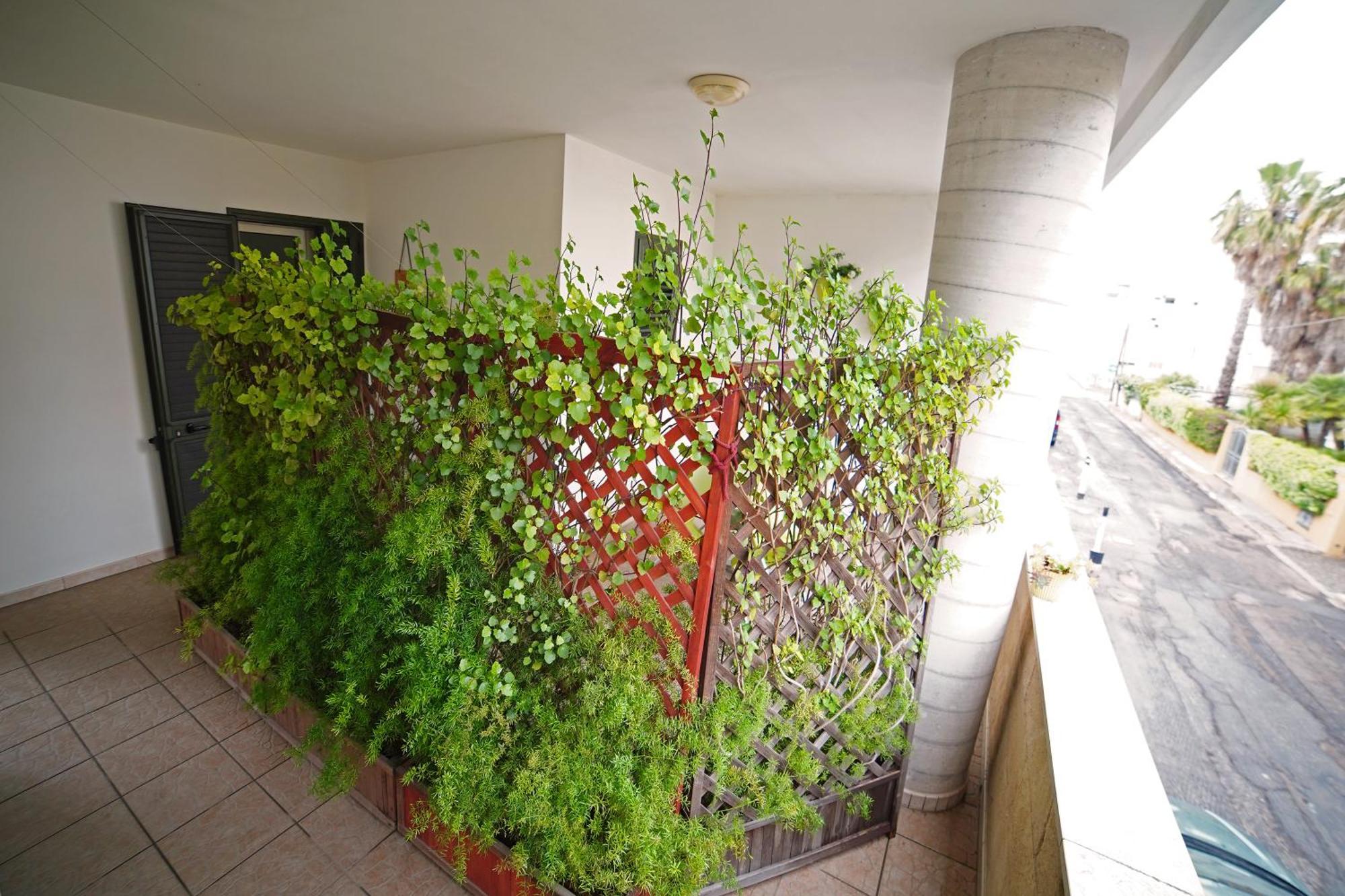 Appartement Dolly Monolocali à Porto Cesareo Extérieur photo